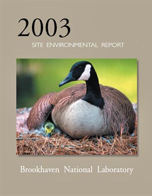 site environmental report cover