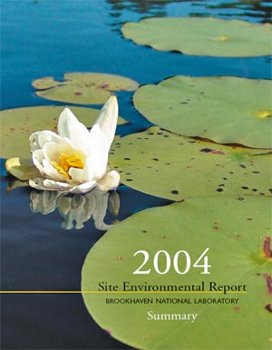 site environmental report cover