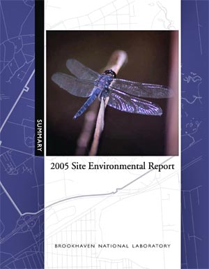 site environmental report cover