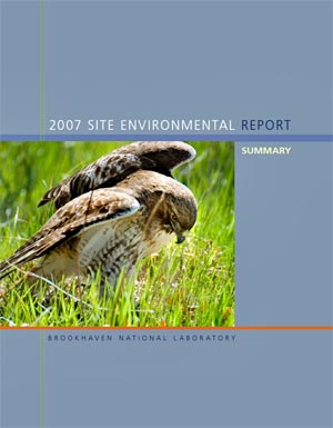 site environmental report cover