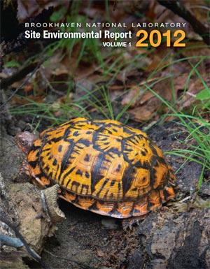 site environmental report cover