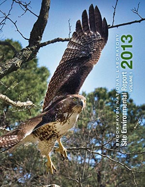 site environmental report cover