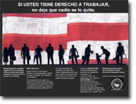 eVerify Web Poster - Spanish