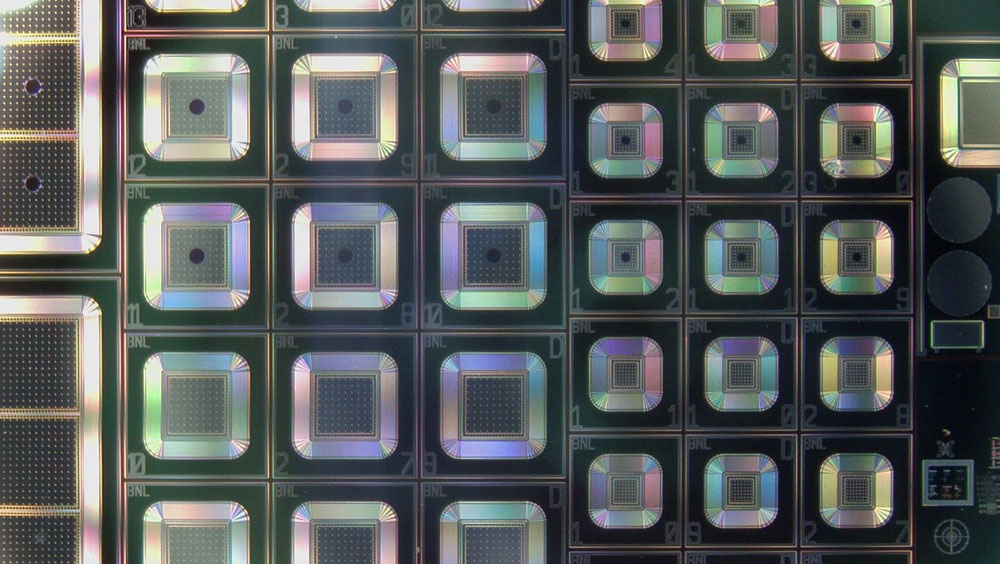 microscope image of single-pad LGAD devices