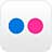 Flickr Icon