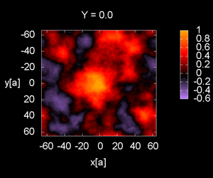 Color Field Correlations