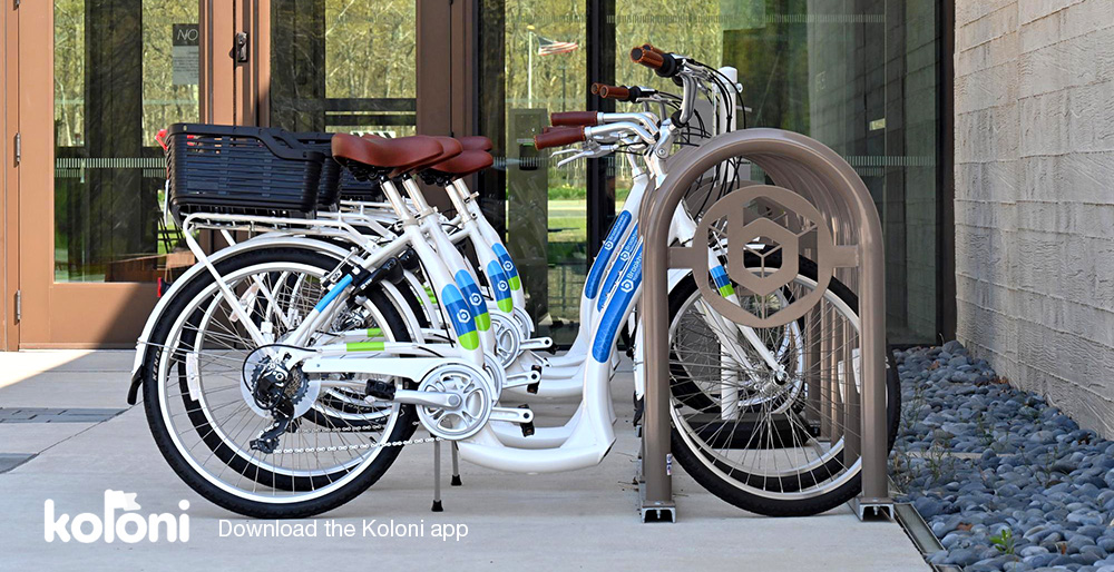 photo of bicycles in a rack stand