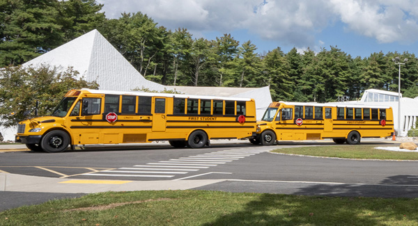 photo of buses