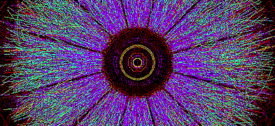 An end-on view of one of the first full-energy collisions between gold ions at the Solenoidal Track