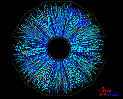 End view of a gold-ion collision in the STAR detector.