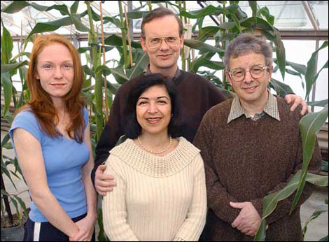 Image of the research team
