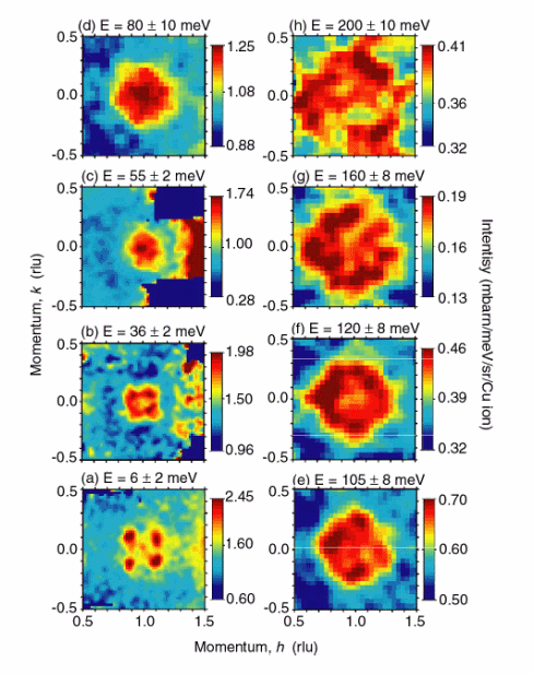 Magnetic excitiations in LBCO 1:8