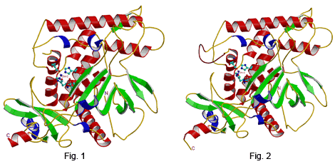 Ribbon diagrams