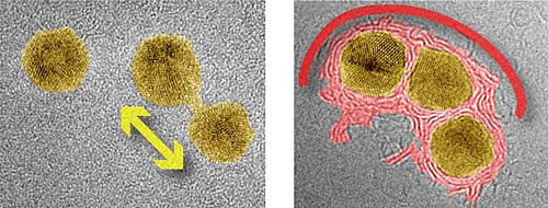 Image of gold nanoparticles