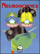 Image of Neuroscience cover