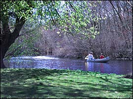 Photo of the Peconic River