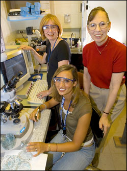 Photo of Bennett, Cutter and Sutherland