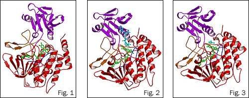 Ribbon diagram