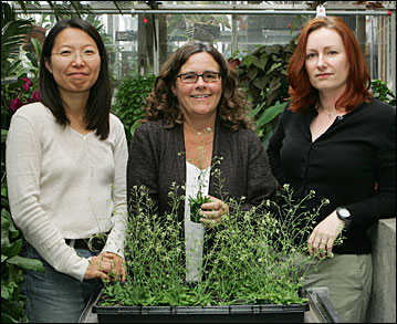 Photo of Kim, Guerinot and Punshon