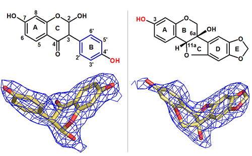 Molecule image