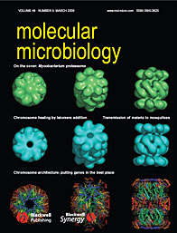 Cover of Molecular Microbiology