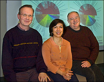 van der Lelie, Taghavi and McCorkle