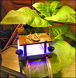 Photo of plant apparatus