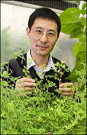 Photo of Liu