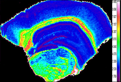 FTIR image