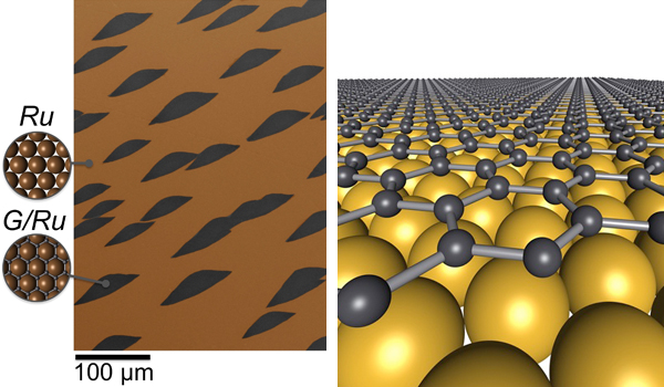 graphene images