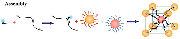 nanoparticles