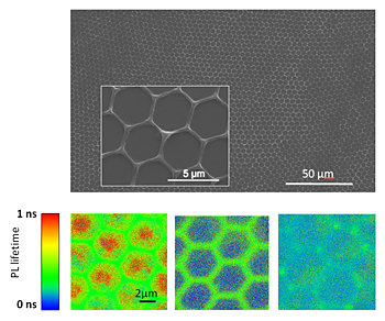 conjugated polymer honeycomb