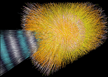 lead-ion collision