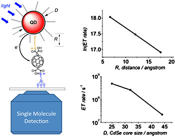 photoinduced electron transfer