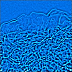 Activated-graphene