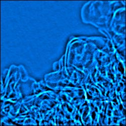 activated graphene
