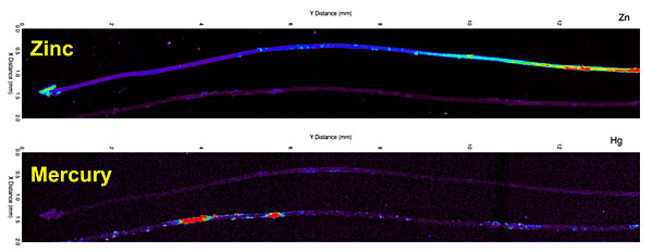 X-ray fluorescence studies