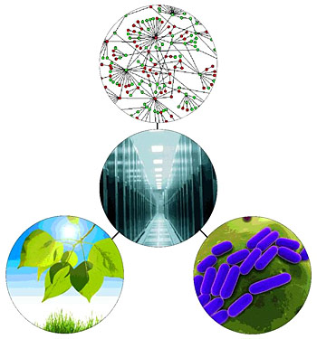 complex biomolecular interactions