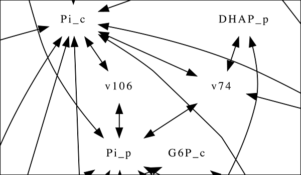 metabolic pathways