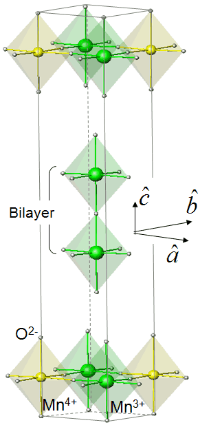 The layered structure of the bilayer manganite