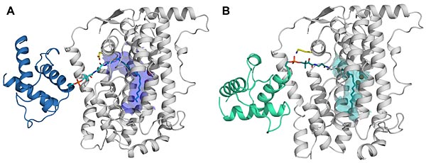 complete desaturase-substrate complexes