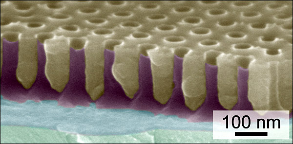 organic solar cell