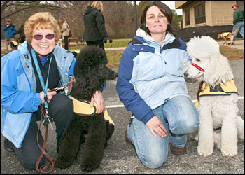 puppies-in-training and their handlers