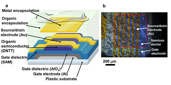 organic transistor structure