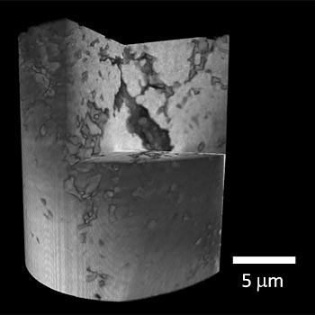 lithium-ion battery electrode