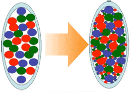 Gluons multiply