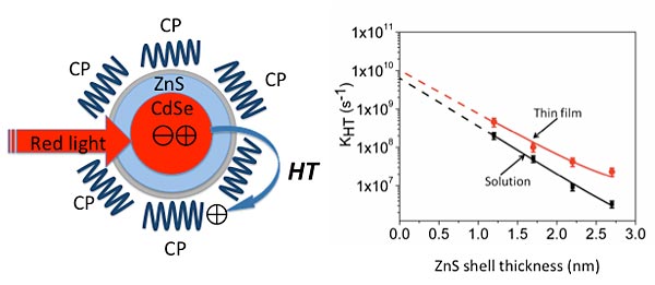 hybrid nanomaterial