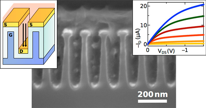 Schematic drawing and scanning electron microscope cross-sectional image of a vertical channel polym