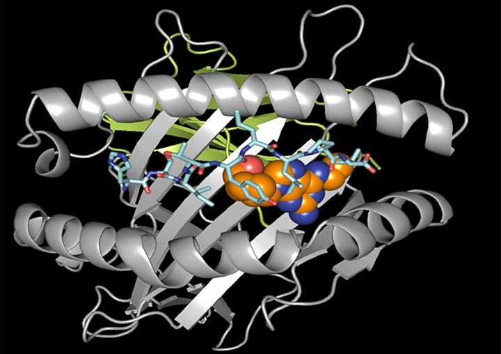 HIV/AIDS drug abacavir