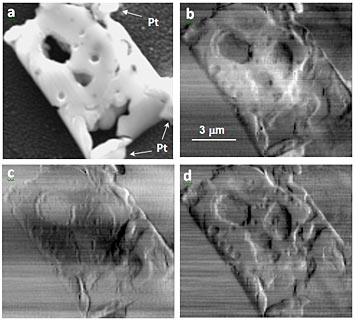 solid oxide fuel cell